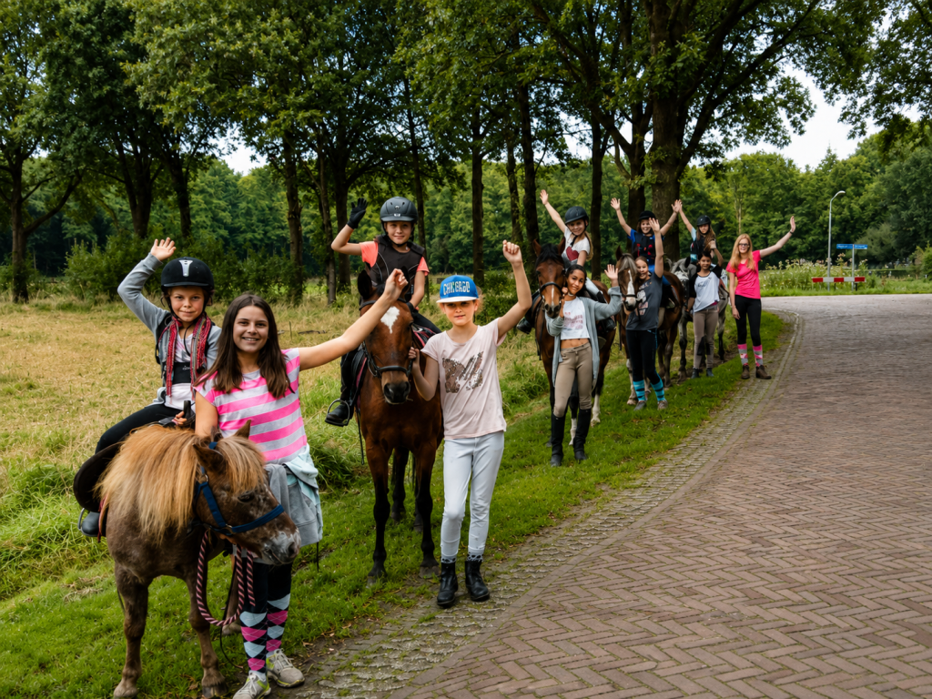 ponykamp3
