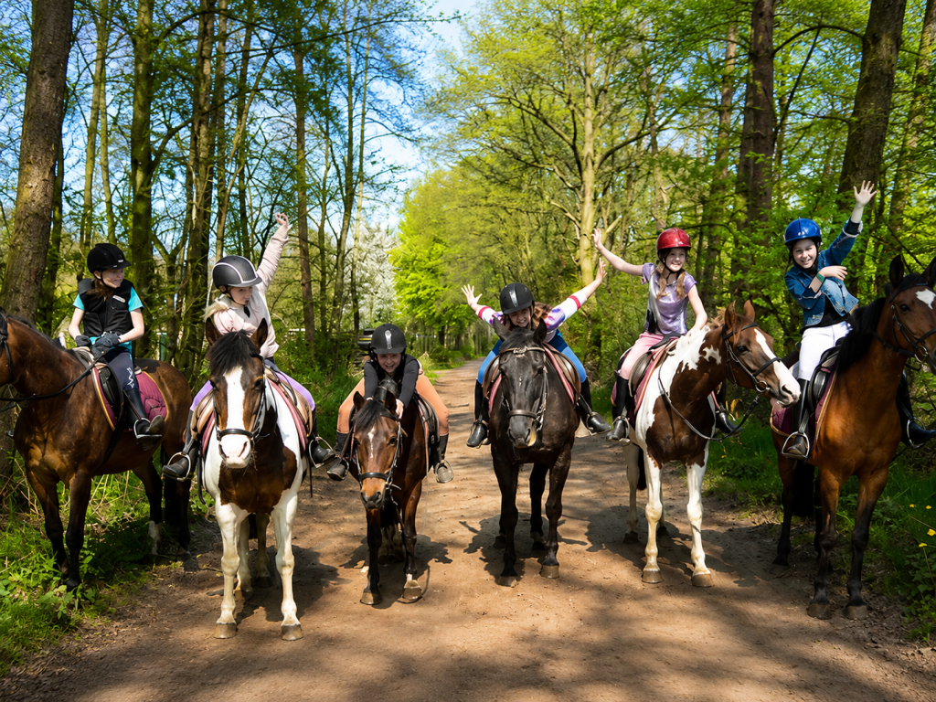 ponykamp1