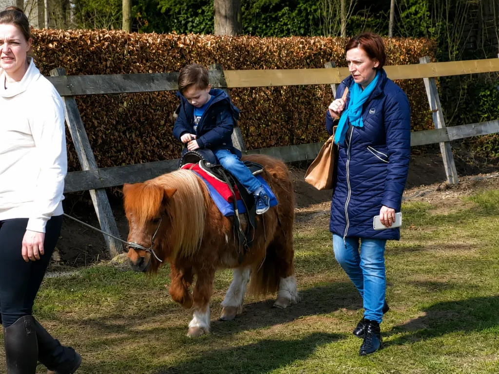 Schaap 4