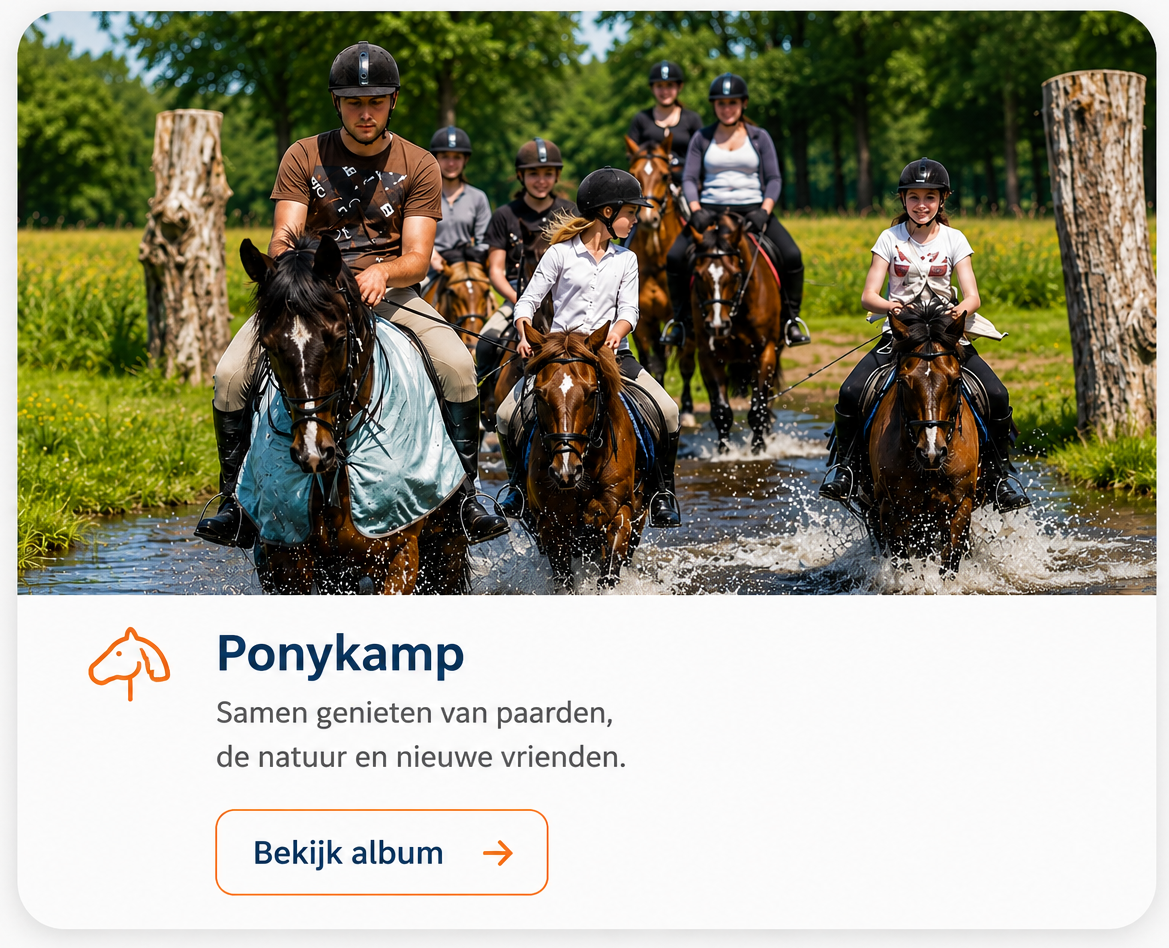 bord ponykamp